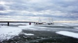 Regata Schweden 255