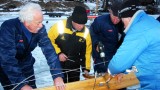 Regata Schweden 266