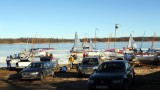 hallona schweden 20110306 0120