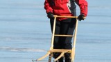 hallona schweden 20110306 0276