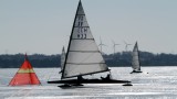 hallona schweden 20110308 1080