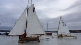 IMG 7429