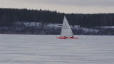 IMGP2303